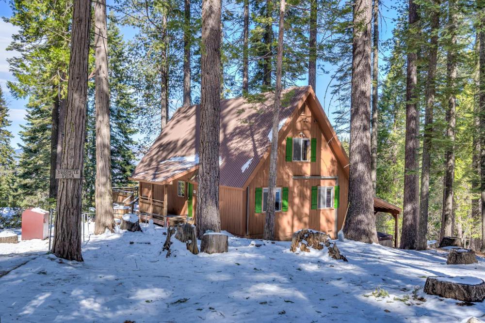 Yosemite Vista